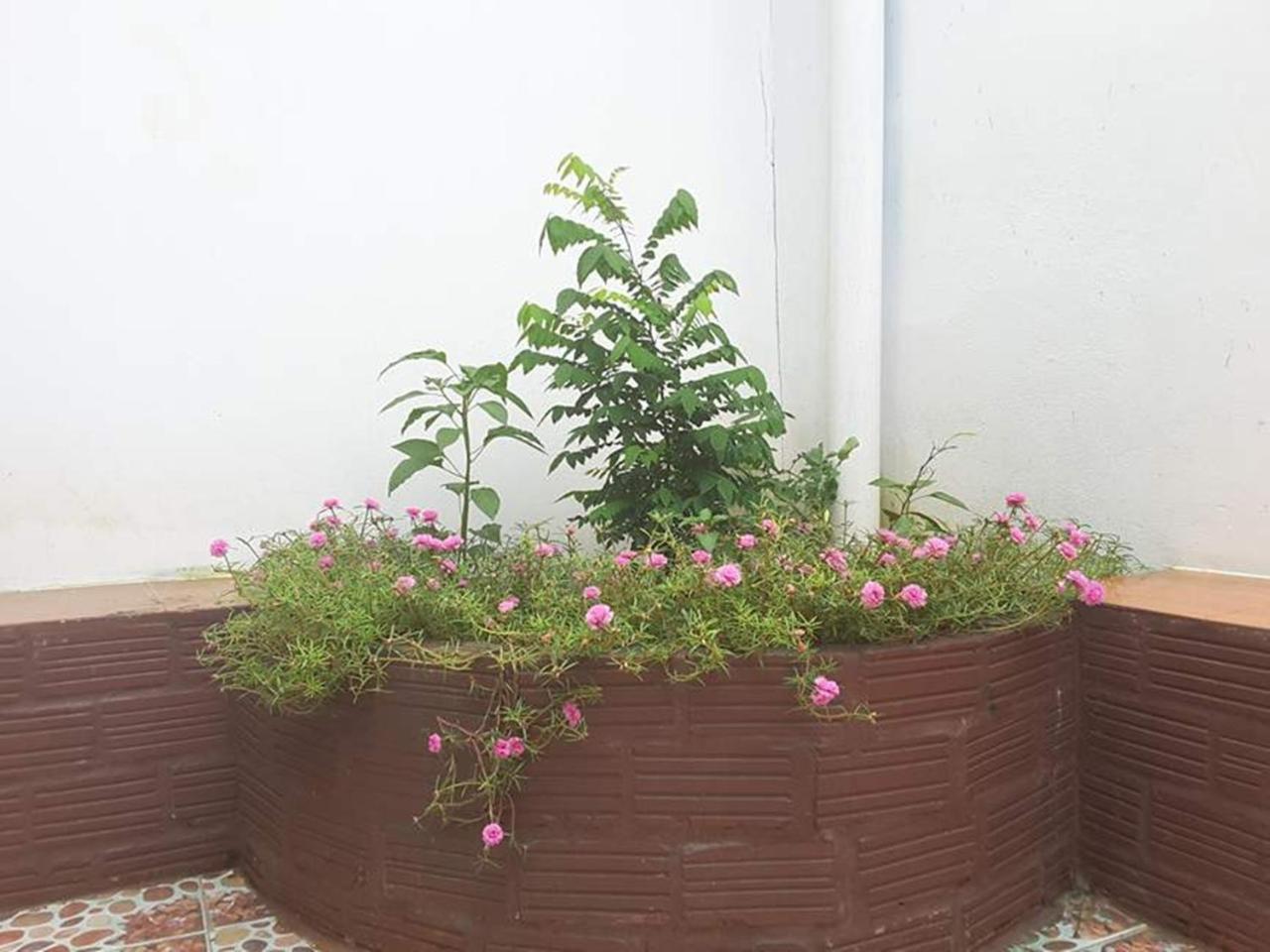 Army Barracks Guesthouse Vang Vieng Εξωτερικό φωτογραφία